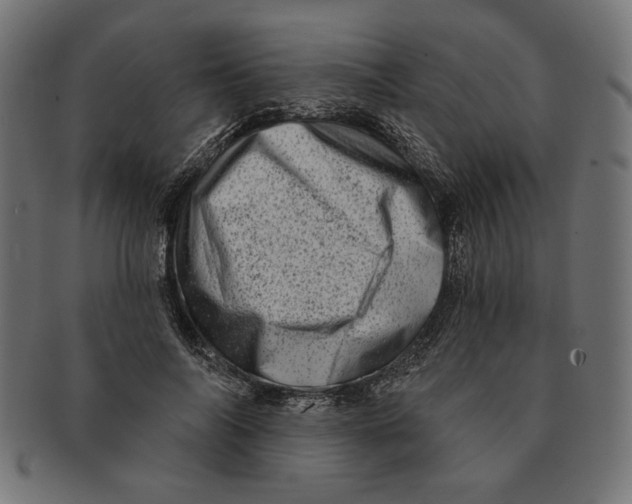 X0000091210694200709061440