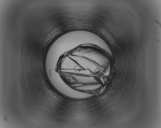 X0000091210696200709061440