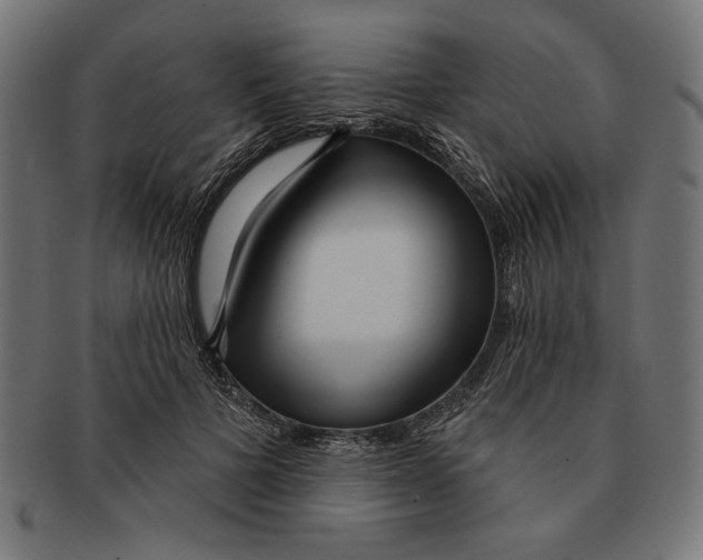 X0000091210697200709061440