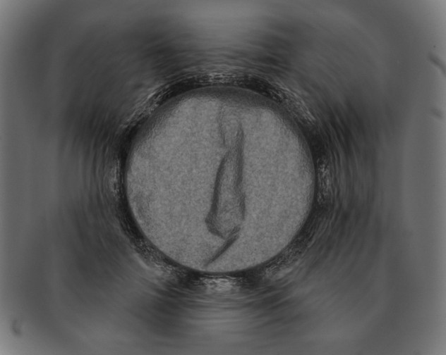 X0000091210698200709061440