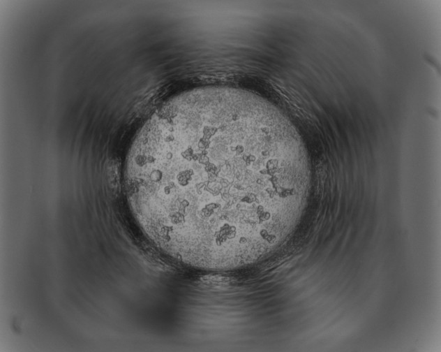 X0000091210699200709061440