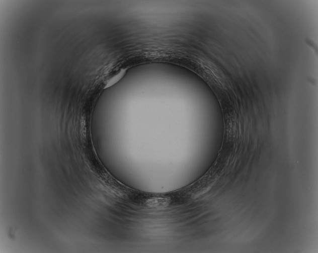 X0000091210700200709061440