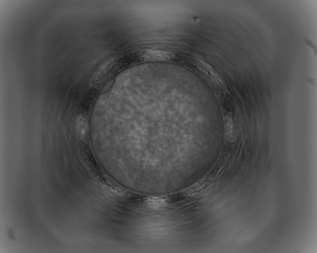 X0000091210701200709061440