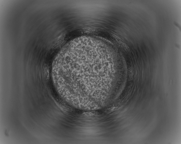 X0000091210703200709061440