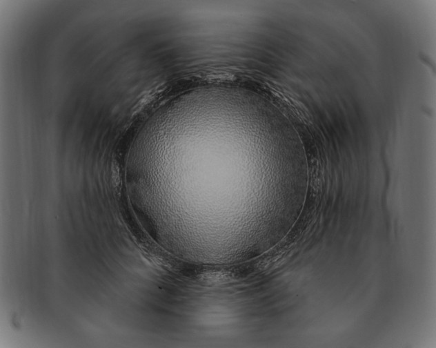 X0000091210704200709061440