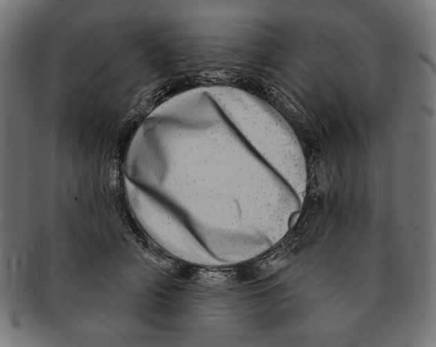 X0000091210706200709061439