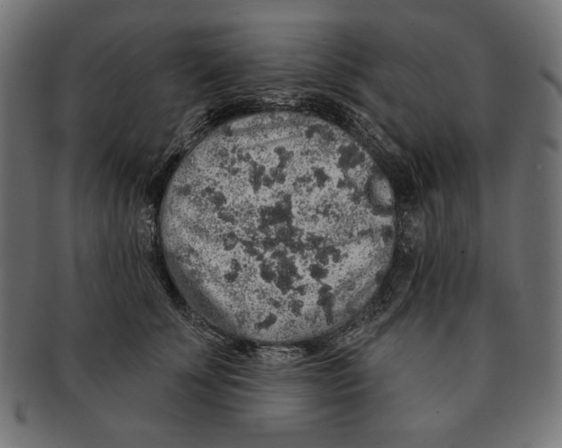 X0000091210707200709061439