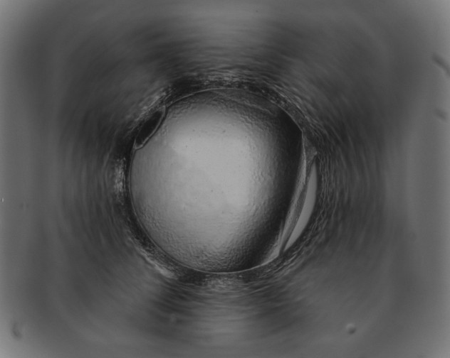 X0000091210708200709061439