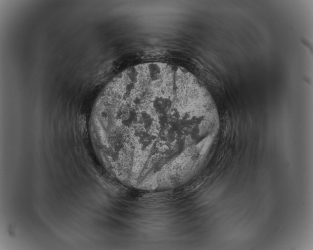 X0000091210711200709061439