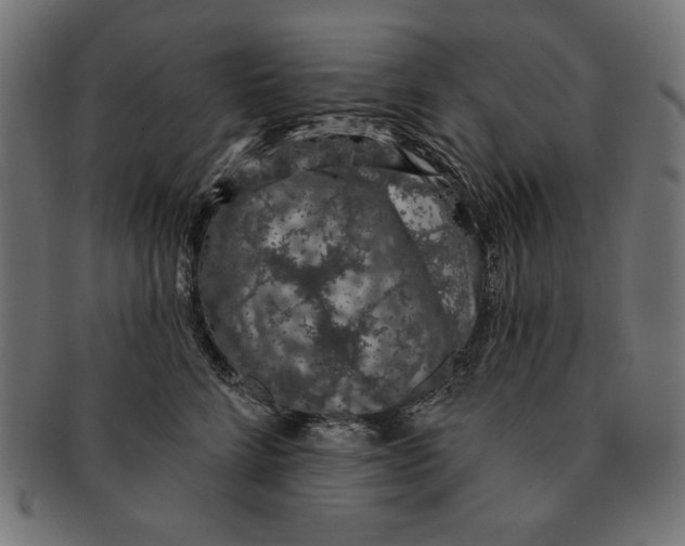 X0000091210712200709061439