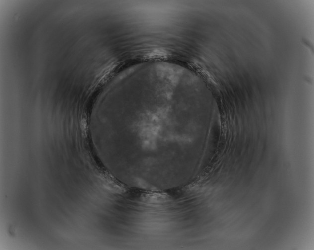 X0000091210716200709061439