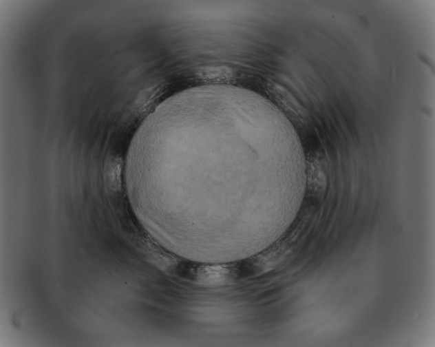 X0000091210717200709061439