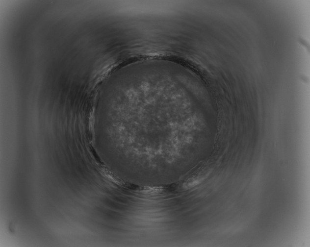 X0000091210720200709061439