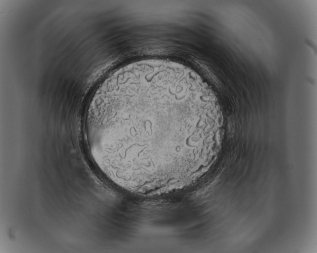 X0000091210725200709061439