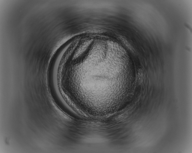 X0000091210726200709061439