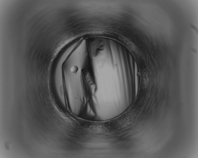 X0000091210728200709061439