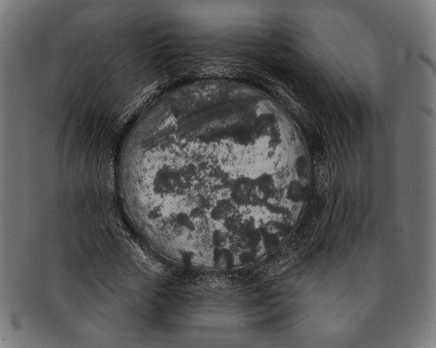 X0000091210729200709061439