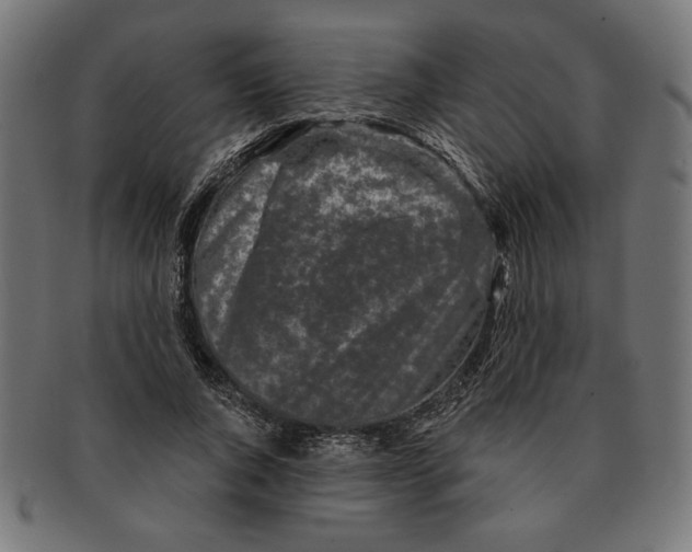 X0000091210736200709061439