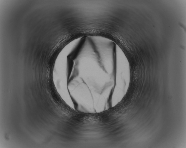 X0000091210739200709061439