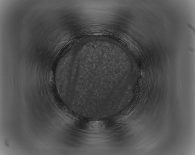 X0000091210748200709061439