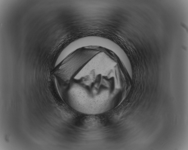 X0000091210750200709061439