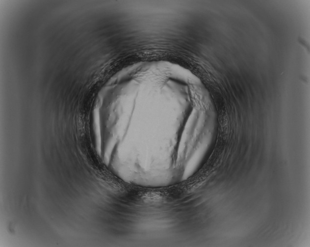 X0000091210751200709061439