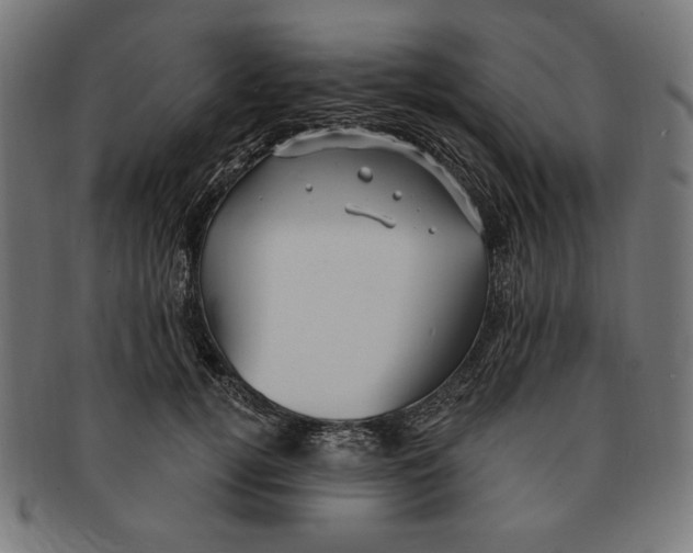 X0000091210752200709061439