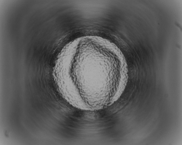 X0000091210757200709061439