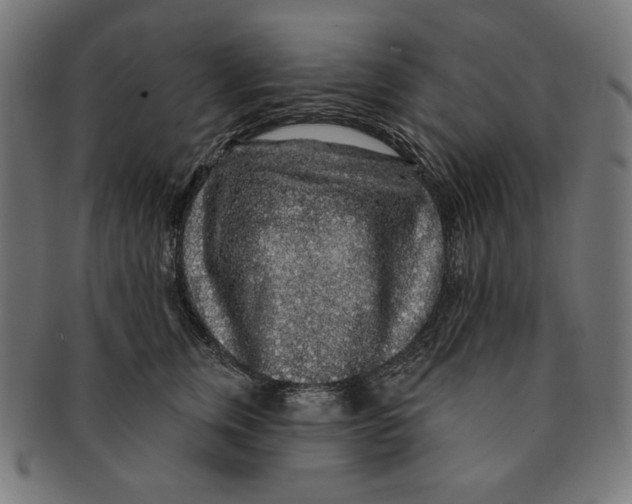 X0000091210759200709061439