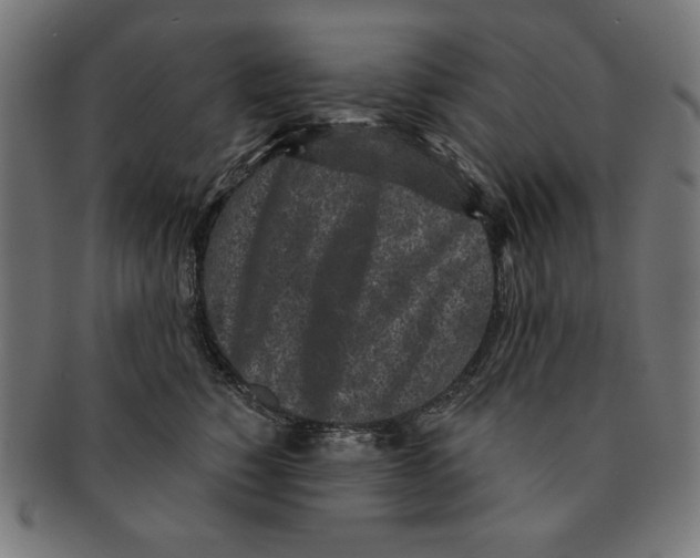 X0000091210760200709061439