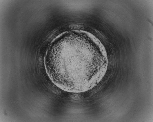 X0000091210761200709061439