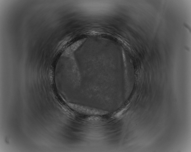 X0000091210762200709061439