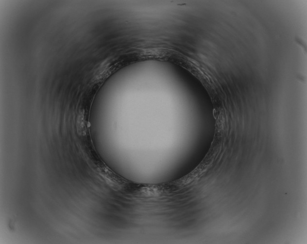 X0000091210764200709061439