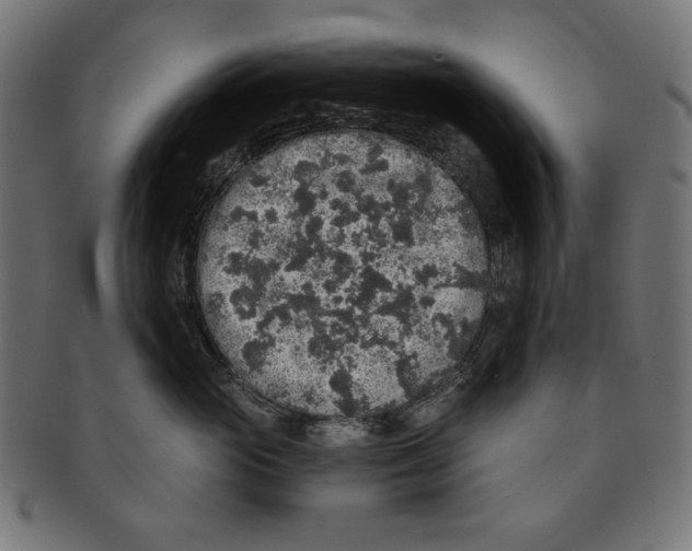 X0000091210765200709061439