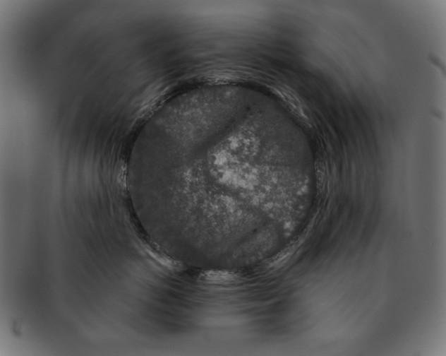 X0000091210766200709061439