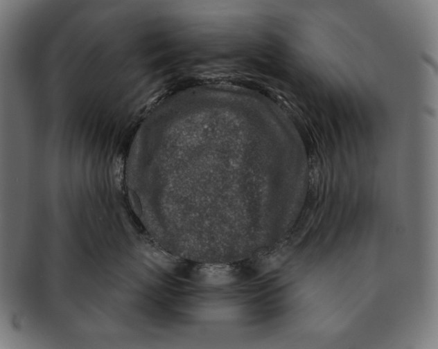 X0000091210767200709061439