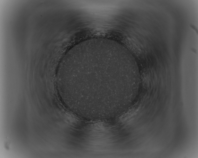 X0000091210769200709061439