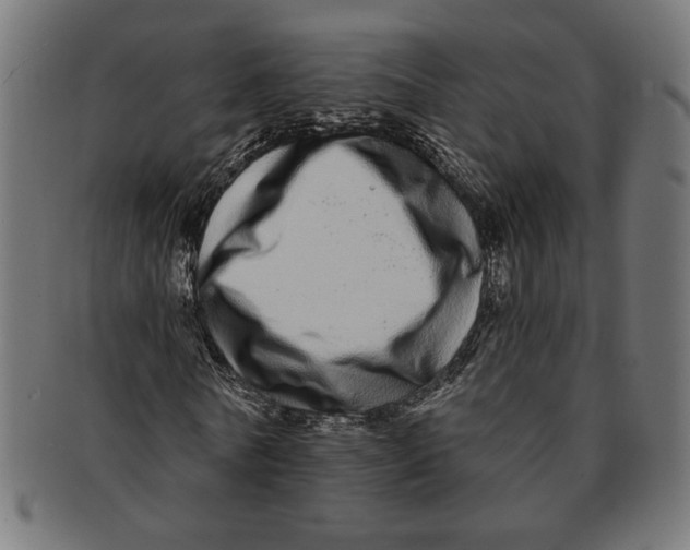 X0000091210770200709061439