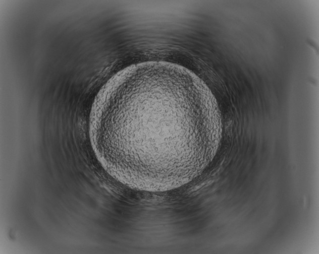 X0000091210772200709061439