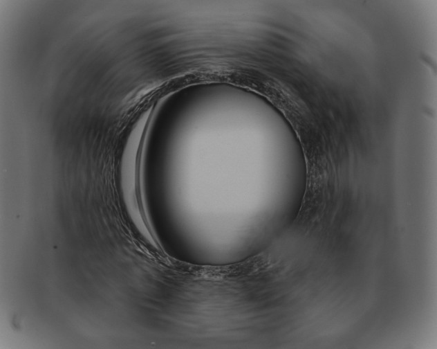 X0000091210773200709061439