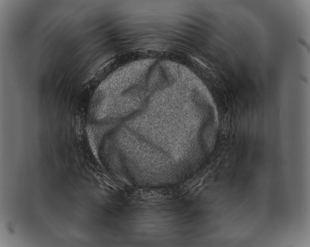 X0000091210774200709061439