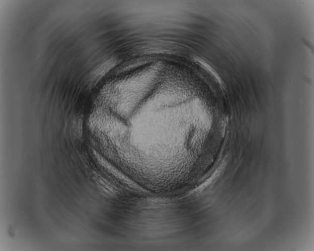 X0000091210777200709061439