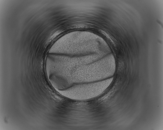 X0000091210778200709061439