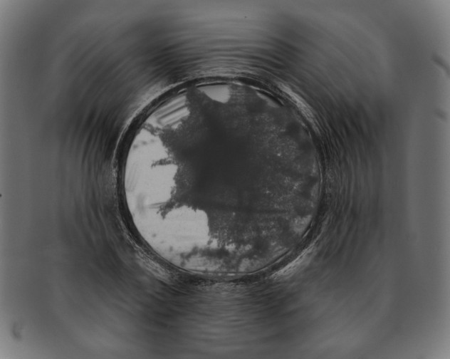 X0000091210779200709061439