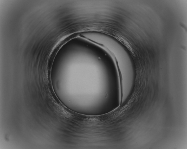 X0000091210784200709061439