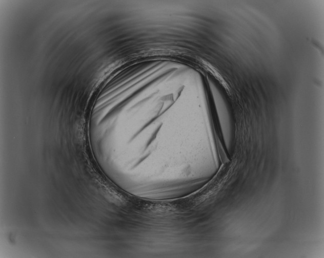 X0000091210786200709061439