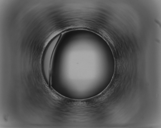 X0000091210789200709061439