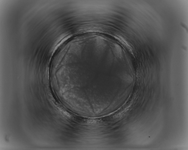 X0000091210790200709061438