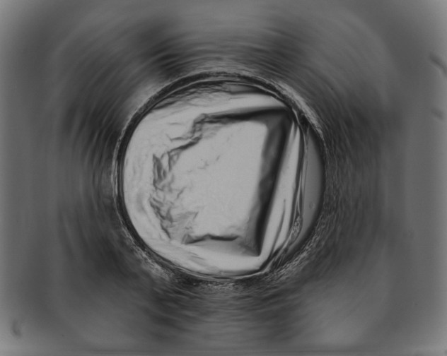 X0000091210791200709061438