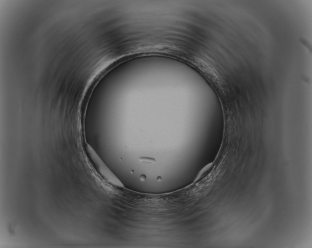 X0000091210792200709061438